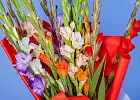 Купить Букет из 15 гладиолусов микс в упаковке в  с бесплатной доставкой: цена, фото, описание