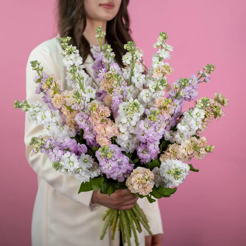 Маттиола поштучно