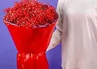 Купить Букет из бордовых гипсофил в  с бесплатной доставкой: цена, фото, описание