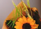 Купить Букет «Сверхъестественный цветок» в Санкт-Петербурге с бесплатной доставкой: цена, фото, описание