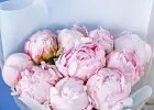 Купить Букет из 10 розовых пионов (Премиум) в  с бесплатной доставкой: цена, фото, описание