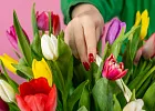 Купить Корзина 51 тюльпан микс в  с бесплатной доставкой: цена, фото, описание