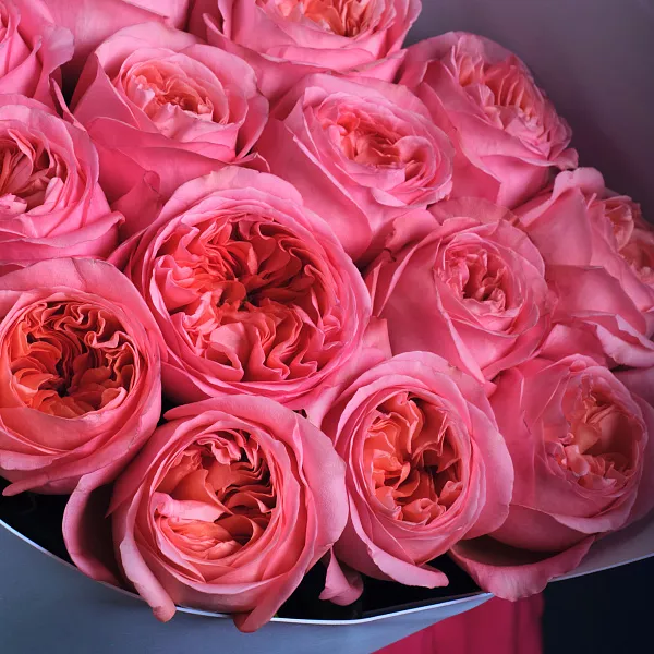 Купить Букет из 15 пионовидных розовых роз 70 см Pink Expression в  с бесплатной доставкой: цена, фото, описание