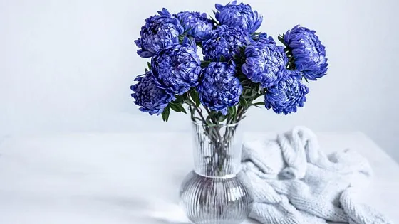 Какие цветы дольше всего стоят в вазе