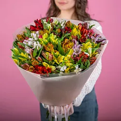 Купить Букет «25 альстромерий» в  с бесплатной доставкой: цена, фото, описание