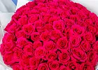 Купить Букет из 80 розовых роз 50 см (Эквадор) в  с бесплатной доставкой: цена, фото, описание
