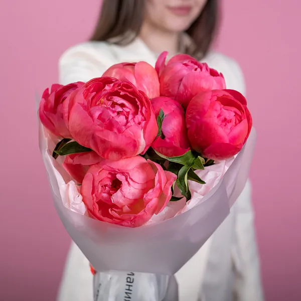 Купить Букет из 7 коралловых пионов (Премиум) в  с бесплатной доставкой: цена, фото, описание