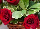 Купить Корзина «51 красная роза» в Санкт-Петербурге с бесплатной доставкой: цена, фото, описание