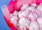 Купить Букет из 13 розовых пионов (Премиум) в  с бесплатной доставкой: цена, фото, описание