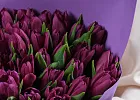 Купить Букет 35 фиолетовых тюльпанов в  с бесплатной доставкой: цена, фото, описание