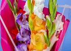 Купить Букет из 7 гладиолусов микс в упаковке в  с бесплатной доставкой: цена, фото, описание
