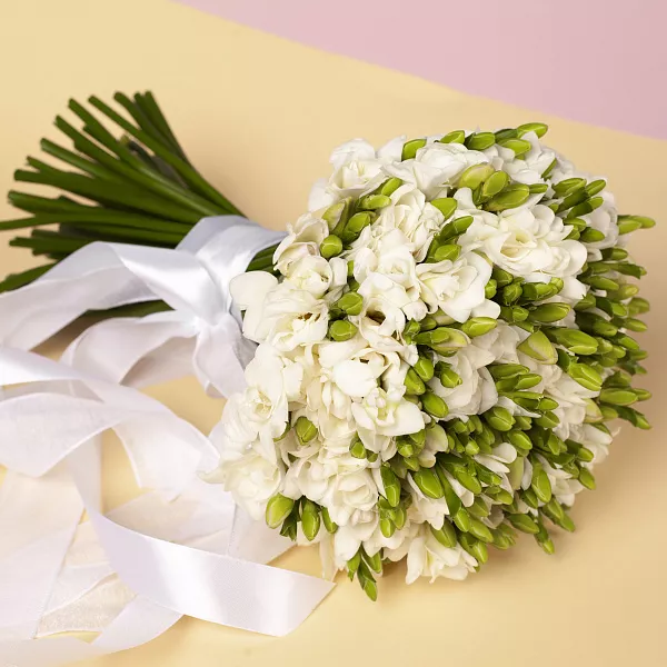 Купить Букет невесты из белой фрезии в Санкт-Петербурге с бесплатной  доставкой: цена, фото, описание