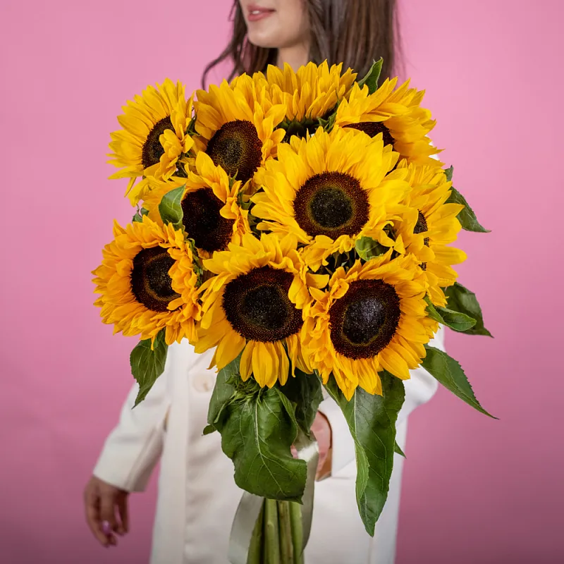 Купить Подсолнухи поштучно в с бесплатной доставкой: цена, фото, описание
