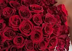 Купить Букет из 101 красной розы 40-50 см (Эквадор) в  с бесплатной доставкой: цена, фото, описание