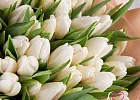 Купить Букет 51 белый тюльпан в Санкт-Петербурге с бесплатной доставкой: цена, фото, описание