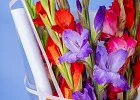 Купить Букет из 9 гладиолусов микс в упаковке в  с бесплатной доставкой: цена, фото, описание