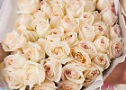 Купить Букет из 51 ароматной розы Вайт Охара в  с бесплатной доставкой: цена, фото, описание