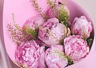 Купить Букет из 7 розовых пионов (Премиум) с тиласпией в  с бесплатной доставкой: цена, фото, описание