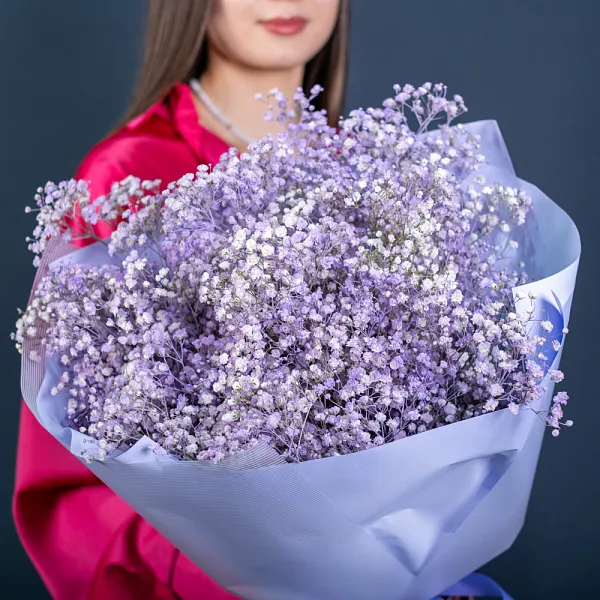 Купить Букет из фиолетовых гипсофил в  с бесплатной доставкой: цена, фото, описание