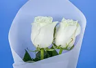 Купить Букет из 2 белых роз 50 см (Эквадор) в  с бесплатной доставкой: цена, фото, описание