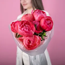 Купить Букет из 7 коралловых пионов (Премиум) в  с бесплатной доставкой: цена, фото, описание