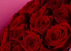 Купить Букет из 25 красных роз 50 см (Россия) в Санкт-Петербурге с бесплатной доставкой: цена, фото, описание
