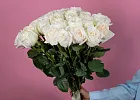 Купить Пионовидная роза Вайт Охара 50 см в  с бесплатной доставкой: цена, фото, описание