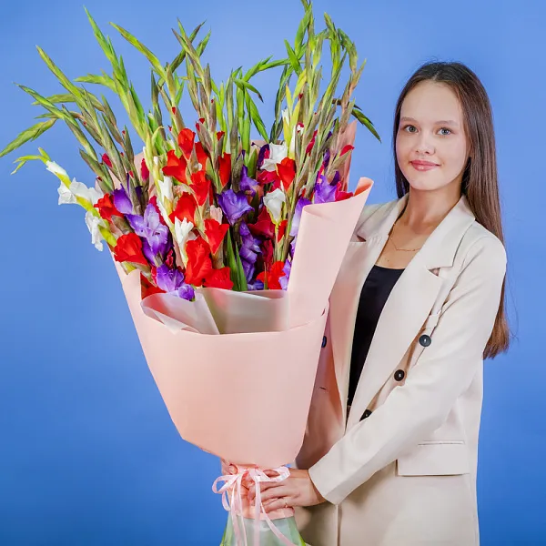 Купить Букет из 25 гладиолусов микс в упаковке в  с бесплатной доставкой: цена, фото, описание