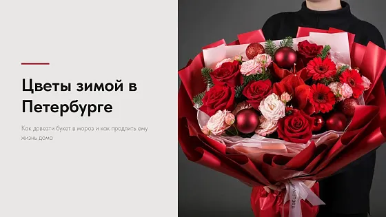 Цветы зимой в Петербурге: как довезти и как сохранить