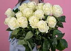 Купить Белая роза (Эквадор) 70 см в  с бесплатной доставкой: цена, фото, описание