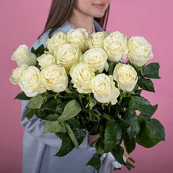 Купить Белая роза (Эквадор) 70 см в  с бесплатной доставкой: цена, фото, описание