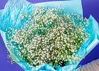 Купить Букет из 13 гипсофил в  с бесплатной доставкой: цена, фото, описание
