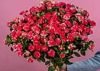 Купить Кустовая роза Фаерворк в  с бесплатной доставкой: цена, фото, описание