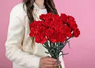 Купить Гвоздика красная в  с бесплатной доставкой: цена, фото, описание