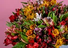 Купить Альстромерия в  с бесплатной доставкой: цена, фото, описание