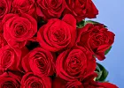 Купить Букет из 300 красных роз 70 см (Эквадор) в  с бесплатной доставкой: цена, фото, описание