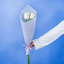 Купить Букет из 2 белых роз 50 см (Эквадор) в  с бесплатной доставкой: цена, фото, описание