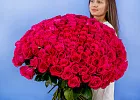 Купить Букет из 200 розовых роз 70 см (Эквадор) в  с бесплатной доставкой: цена, фото, описание