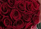 Купить Букет «51 красная роза Premium» (Эквадор) в  с бесплатной доставкой: цена, фото, описание