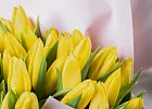 Купить Букет 51 жёлтый тюльпан в  с бесплатной доставкой: цена, фото, описание