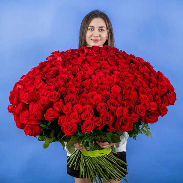 Купить Букет из 300 красных роз 70 см (Эквадор) в  с бесплатной доставкой: цена, фото, описание