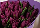 Купить Букет 25 фиолетовых тюльпанов в Санкт-Петербурге с бесплатной доставкой: цена, фото, описание