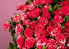 Купить Кустовая роза Фаерворк в  с бесплатной доставкой: цена, фото, описание