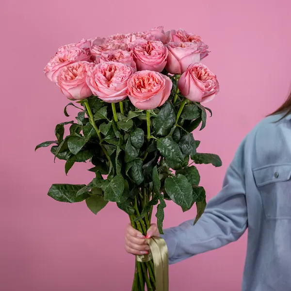 Купить Пионовидная роза 70 см Pink Expression в  с бесплатной доставкой: цена, фото, описание