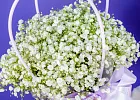 Купить Композиция из гипсофилы в сумочке в  с бесплатной доставкой: цена, фото, описание