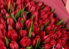 Купить Букет 101 красный тюльпан в  с бесплатной доставкой: цена, фото, описание