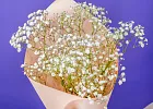 Купить Букет из 3 гипсофил в  с бесплатной доставкой: цена, фото, описание