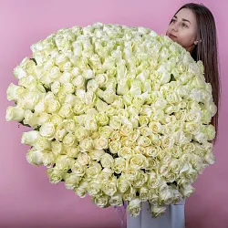 Купить Букет из 300 белых роз 70 см (Эквадор) в  с бесплатной доставкой: цена, фото, описание
