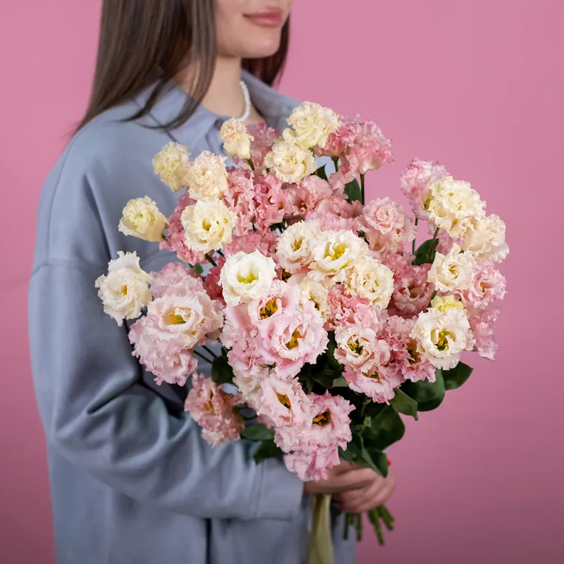 Эустома розовая