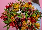 Купить Альстромерия в  с бесплатной доставкой: цена, фото, описание